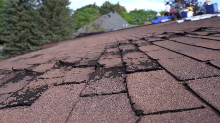 Asphalt Shingles Roofing in Underwood, IA